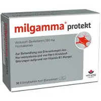Milgamma protekt Filmtabletten 30 St
