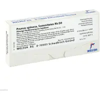 Weleda Prunus Spinosa Summitates Rh D 3 Ampullen 8x1 ml