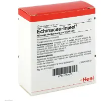 Heel Echinacea Injeel Ampullen 10 St