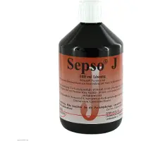 Hofmann & Sommer Sepso J Lösung 500 ml