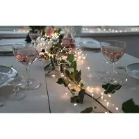 Eglo Lichterkette Dew Drop, Deko Wohnzimmer Schlafzimmer, LED Kette, Stahl in silber, Kunststoff in transparent warmweiß, 200 cm
