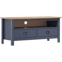 vidaXL TV-Schrank Hill Grau 110x40x47 cm Kiefer Massivholz