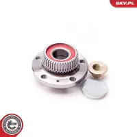 ESEN SKV Radlagersatz Hinten für VW Golf IV Schrägheck (1J1) 120mm 29SKV001