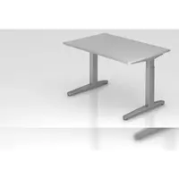 Proregal Schreibtisch Mika | Grau | Silber Gestell | BxT 120x80cm | Arbeitshöhe 65-85cm | höhenjustierbar, 1cm Raster | C-Fuß-Gestell | Bürotisch