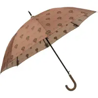 Fresk Lion Regenschirm