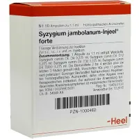 Heel Syzygium Jambolanum Injeel forte Ampulle 10 St