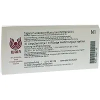 Wala Trigonum vesicae et Musculus sphincter GL D 5 Amp. 10x1 ml Ampullen