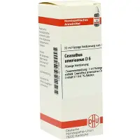 DHU-Arzneimittel GmbH & Co. KG Ceanothus Americanus D6 Dilution