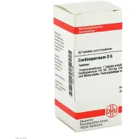 DHU-Arzneimittel GmbH & Co. KG Cardiospermum D 6 Tabletten 80 St