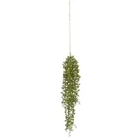 Modern Living Kunstpflanze Senecio in Grün ca. 88cm