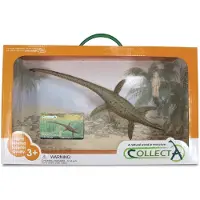 Collecta Geschenkset - Vorgeschichte
