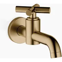 Dornbracht 30010892-39 Wandventil, Kaltwasser TARA 30010892