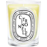 Diptyque Citronnelle Classic Candle 190 g