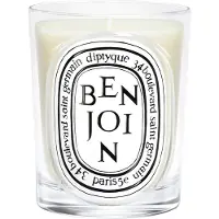 Diptyque Benjoin Classic Candle 190 g