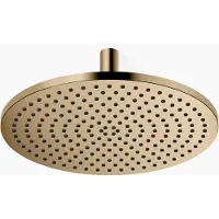 Dornbracht 28699970-39 RB m.Deckenanb. SERIENSPEZIFISCH