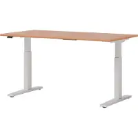 Hjh OFFICE PRO XMKA 16 W | 160x80 | elektrisch h?henverstellbar - Buche 160 x 80 elektrisch h?henverstellbar
