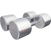 Gorilla Sports Kurzhanteln - 2er Set, 25 kg (2x12,5 kg) Gewichte, Rutschfest, gerändelt, Verchromter Stahl - Hantelset, Rundhanteln, Kurzhantelset