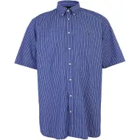 Tommy Hilfiger Big & Tall Kurzarmhemd "FLEX POPLIN" Große Größen, regular fit, fein gestreift