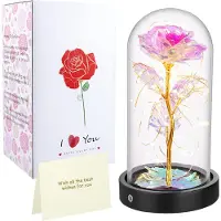 ROSNEK Rose im Glas mit Lichter Blume im Glaskuppel Künstliche Blumen Rose Geschenke für Valentinstag, Geburtstag, Thanksgiving, Jubiläum