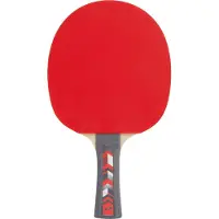 PRO TOUCH Tischtennis-Schläger Pro 5000