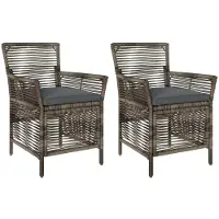vidaXL Gartenstuhl 2 Stk. Grau und Dunkelgrau Poly-Rattan