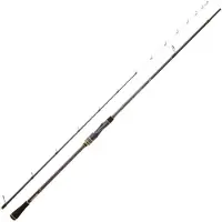 Daiwa Team Tenya 16 Baitcastrute