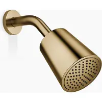 Dornbracht 28504979-39 Kopfbrause SERIENSPEZIFISCH 28504979