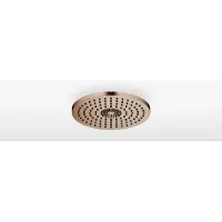 Dornbracht 28031970-42 RB SERIENSPEZIFISCH 28031970 300 mm