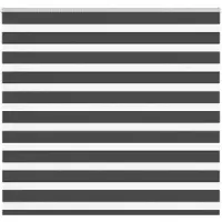 vidaXL Doppelrollo Schwarz 165x100 cm Stoffbreite 160,9 cm Polyester