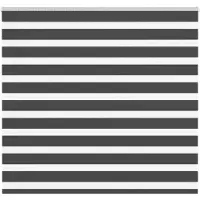 vidaXL Doppelrollo Schwarz 160x100 cm Stoffbreite 155,9 cm Polyester
