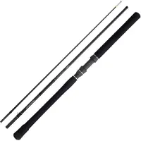 Shimano Steckrute Beastmaster CX Innerguide H Wurfgewicht 100-250g