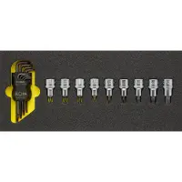 Elora TORX-Werkzeugsatz, 17-teilig, -OMS-18