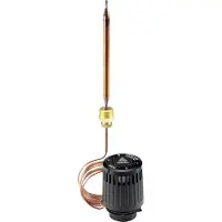 Danfoss Thermostatisches Element RAVK Fernfühler, 25-65C, Kapillare 2,0 m, 1 Stk.