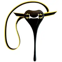 Finis Haltungstrainer