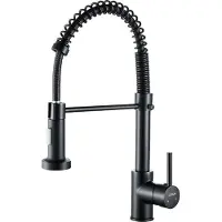 OEM Einhand-Küchenarmatur Edelstahl schwarz