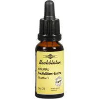 MCM KLOSTERFRAU Vertr. GmbH Bachblüten Murnauer Mustard Tropfen 20 ml