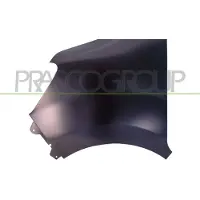 PRASCO Kotflügel rn9583004 vorne links für RENAULT