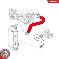 ESEN SKV 24SKV925 Turbo Ladeluftschlauch für ALFA ROMEO 166 (936) für LANCIA KAPPA (838A)