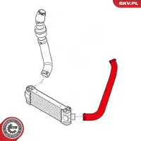 ESEN SKV 24SKV608 Turbo Ladeluftschlauch für FORD Transit Mk6 Kasten (V347, V348, FA) Transit Mk7 Kastenwagen (V363, FCD, FDD) Transit Mk6 Bus