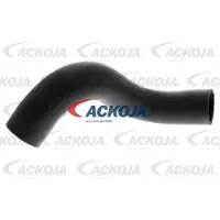 ACKOJA Ladeluftschlauch a389606 links für NISSAN