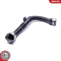 ESEN SKV Ladeluftschlauch 54skv255 für Vaughall GM RENAULT Fiat NISSAN
