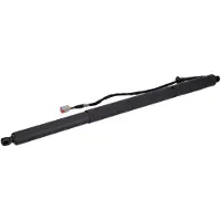 FEBI BILSTEIN 194339 Gasfeder Heckklappendämpfer für FORD Focus Mk4 Turnier (HP) 669mm
