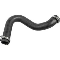 FEBI BILSTEIN 175705 Turbo Ladeluftschlauch für FORD Focus II Schrägheck (DA, HCP, DP) Focus II Kombi (DA, FFS, DS) C-MAX (DM2) Focus C-Max (DM2)
