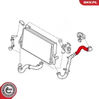 ESEN SKV 24SKV960 Turbo Ladeluftschlauch für FIAT CROMA (194)