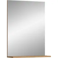 Ebuy24 Scout Bad Spiegel 1 Tür, 1 Regal Salbeidekor, Eiche Nachbildung.