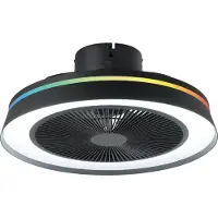 Eglo Schwarzer Deckenventilator Vallonia Ø 48cm