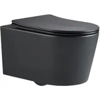 SAT Brevis Wand-WC inklusive WC-Sitz mit Absenkautomatik, 48 cm, schwarz SATBRE010RREXPBKM