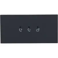 Dahua DHI-VTO4202FB-ML - Status Modul - Schwarz