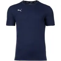 Puma Herren Finisher Set - Training Shorts kurz, Funktionsshirt Rundhals uni