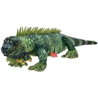 Beppe Leguan 61cm